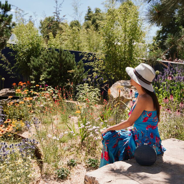 /de-ch/-/media/stresslesssite/magasin/flowershow/rhs_627x627.jpg?cx=0.49&cy=0.5&cw=912&ch=912&hash=ED7B436B170AB50A5F623D9BA64A865C