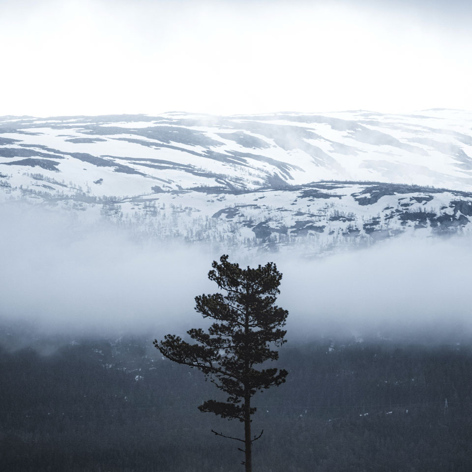 /en-ca/-/media/stresslesssite/magasin/artofwinter/winter_brand_960x960.jpg?cx=0&cy=0&cw=1200&ch=1200&hash=D6C577EA25AFEED629E24B792A857BCB