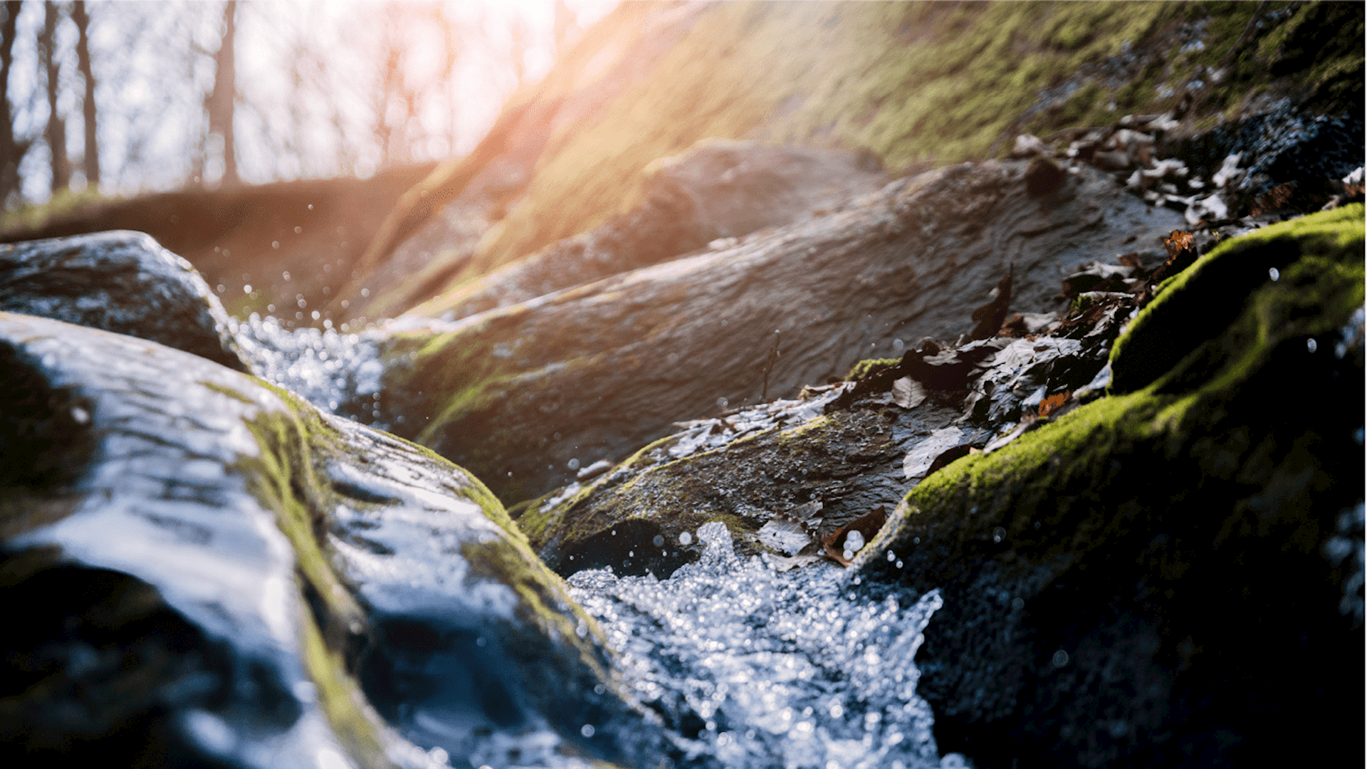 /en-nz/-/media/stresslesssite/aboutus/aboutus-images/river_stream_1440x820.png?cx=0&cy=0&cw=1920&ch=1080&hash=4FE53349A1AA5B81AFEE2AD25FE4F0C6