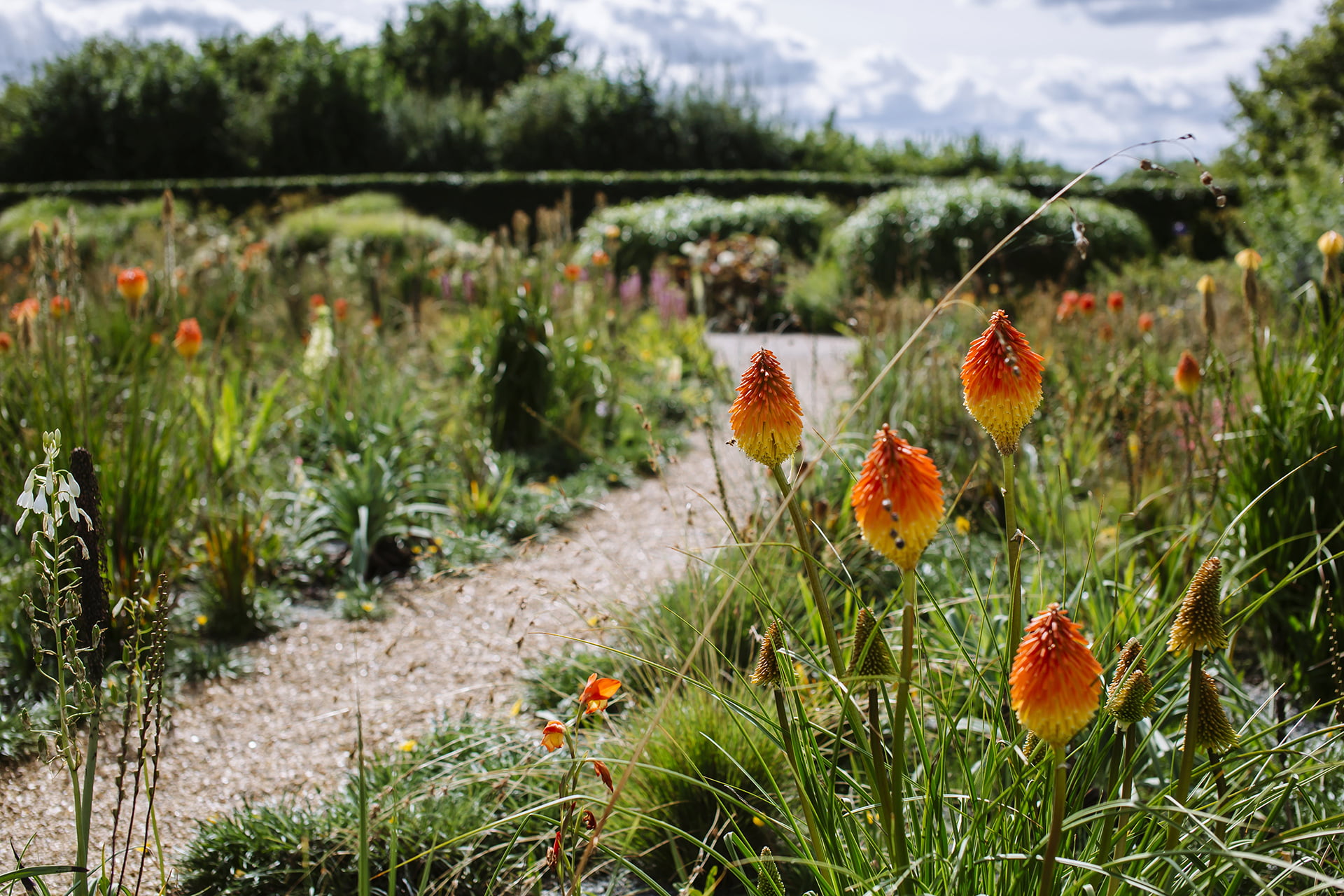 /en/-/media/stresslesssite/magasin/flowershow/rhs_1920x1280.jpg?cx=0&cy=0&cw=1920&ch=1080&hash=4D14934FA93E291C6C2FF9CBD0C491B2