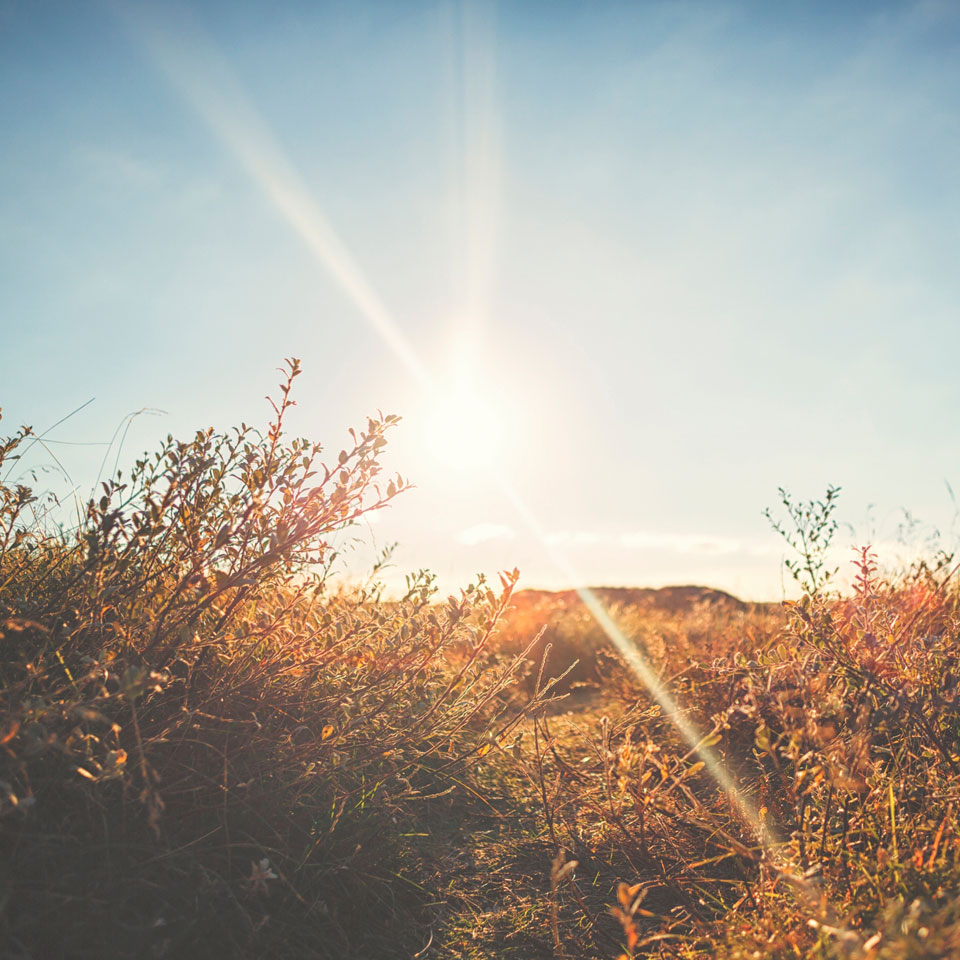 /fi-fi/-/media/stresslesssite/promotions/global/autumncamp23/autumn960x960.jpg?cx=0&cy=0&cw=460&ch=460&hash=42E194620C0011853CFC275A109E638A