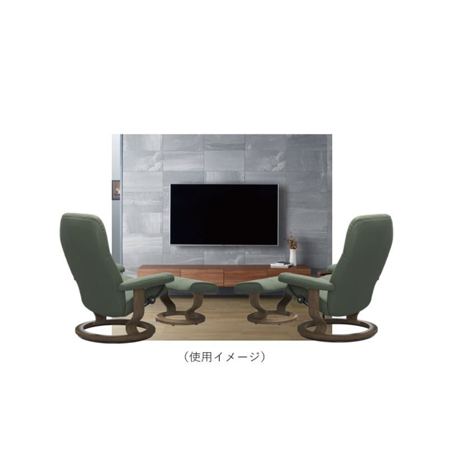 Stressless Consuls in front of TV