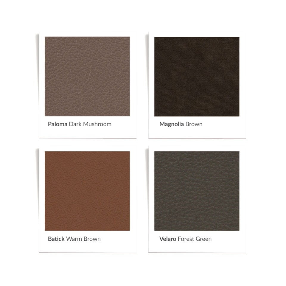 Earthy collor samples