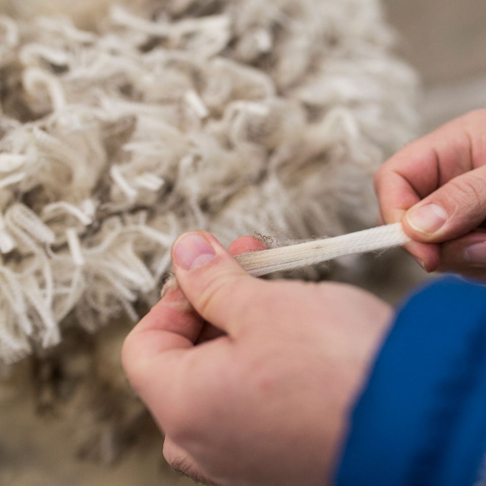 /pt-br/-/media/stresslesssite/products/dining/basil/woolnatural960x960.jpg?cx=0&cy=0&cw=460&ch=460&hash=5B5DBC19DFB9FFC7DC283AE3B2E1F6FB