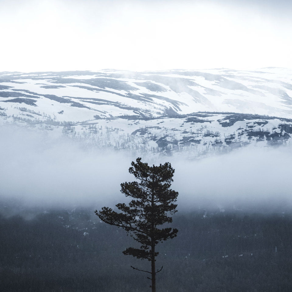 /zh-tw/-/media/stresslesssite/magasin/artofwinter/winter_brand_960x960.jpg?cx=0&cy=0&cw=1200&ch=1200&hash=EED605470EC75C3BCFFF1158318EFDCA